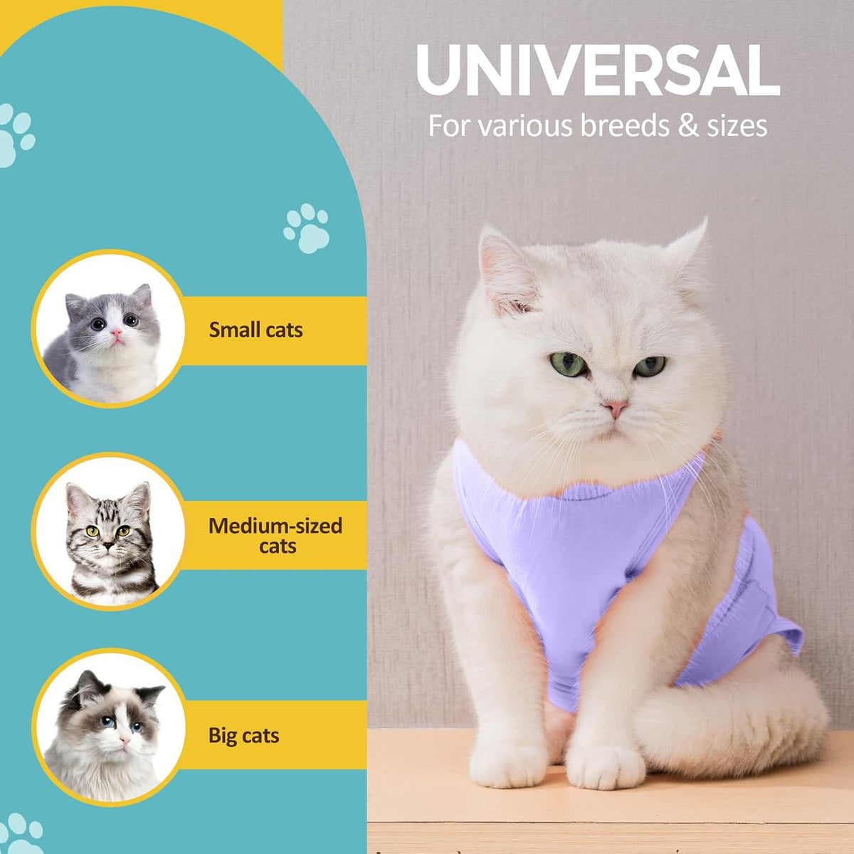 Avont Cat Recovery Suit - Kitten Onesie for Cats After Surgery