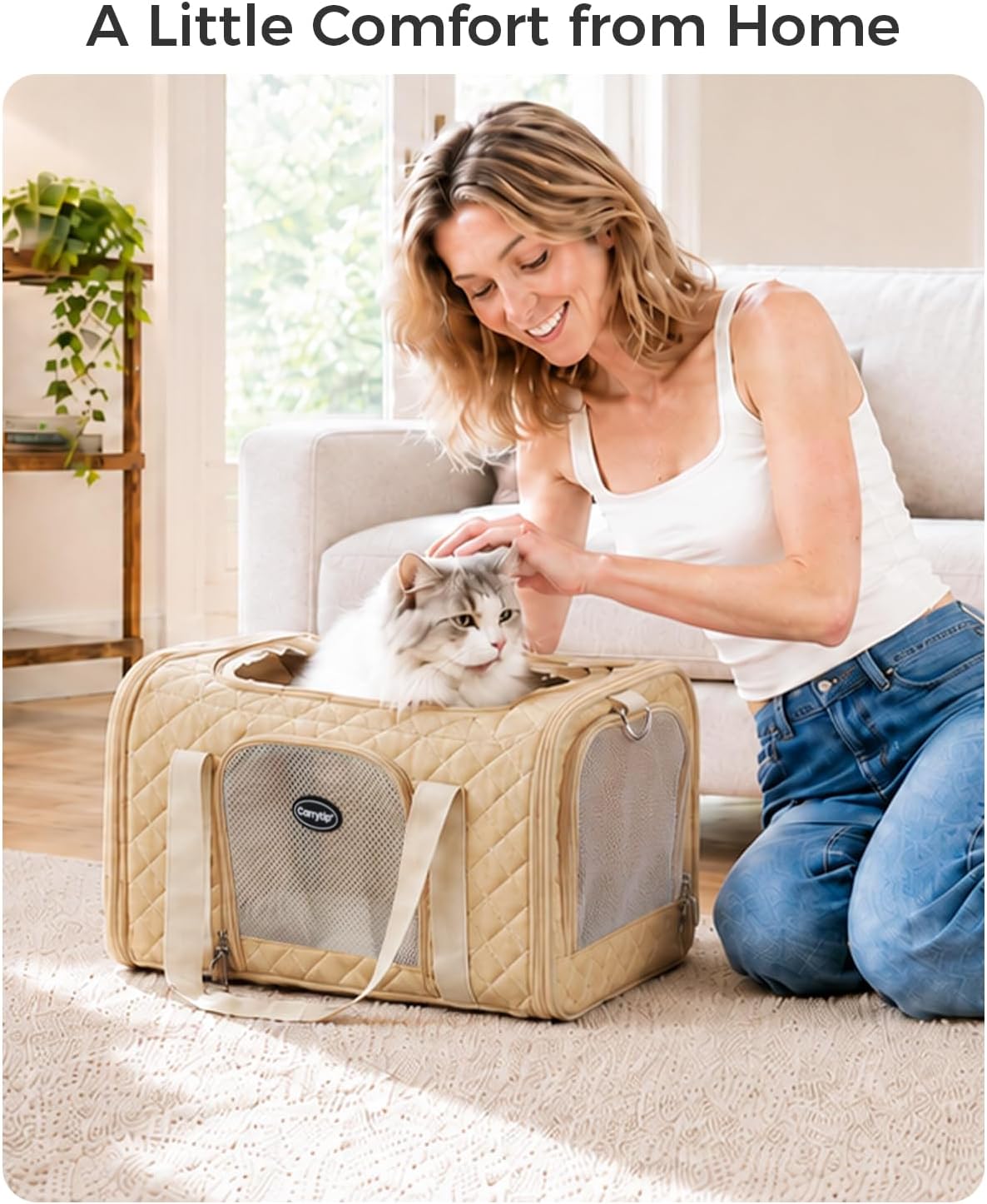 Cat Carrier Airline Approved, Soft Pet Carrier, 17x11x9.5 in, Brown