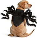Halloween Spider Costume for Dog, Halloween Pet Costume Halloween Decorations, Spider Decor Halloween Party Supply, Spider Cosplay Costumes with Adjustable Velcro for Small Medium Dogs and Cats