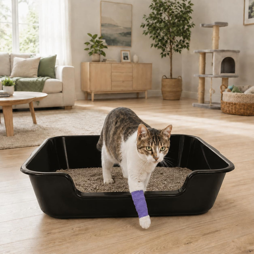 Extra Large Low Entry ABS Cat Litter Box, Black, 24" L x 20" W, 2 Pack | Durable low entry litter box, non-stick, odor-free, ideal for seniors, kittens, rabbits, large cats and multi-pet homes.