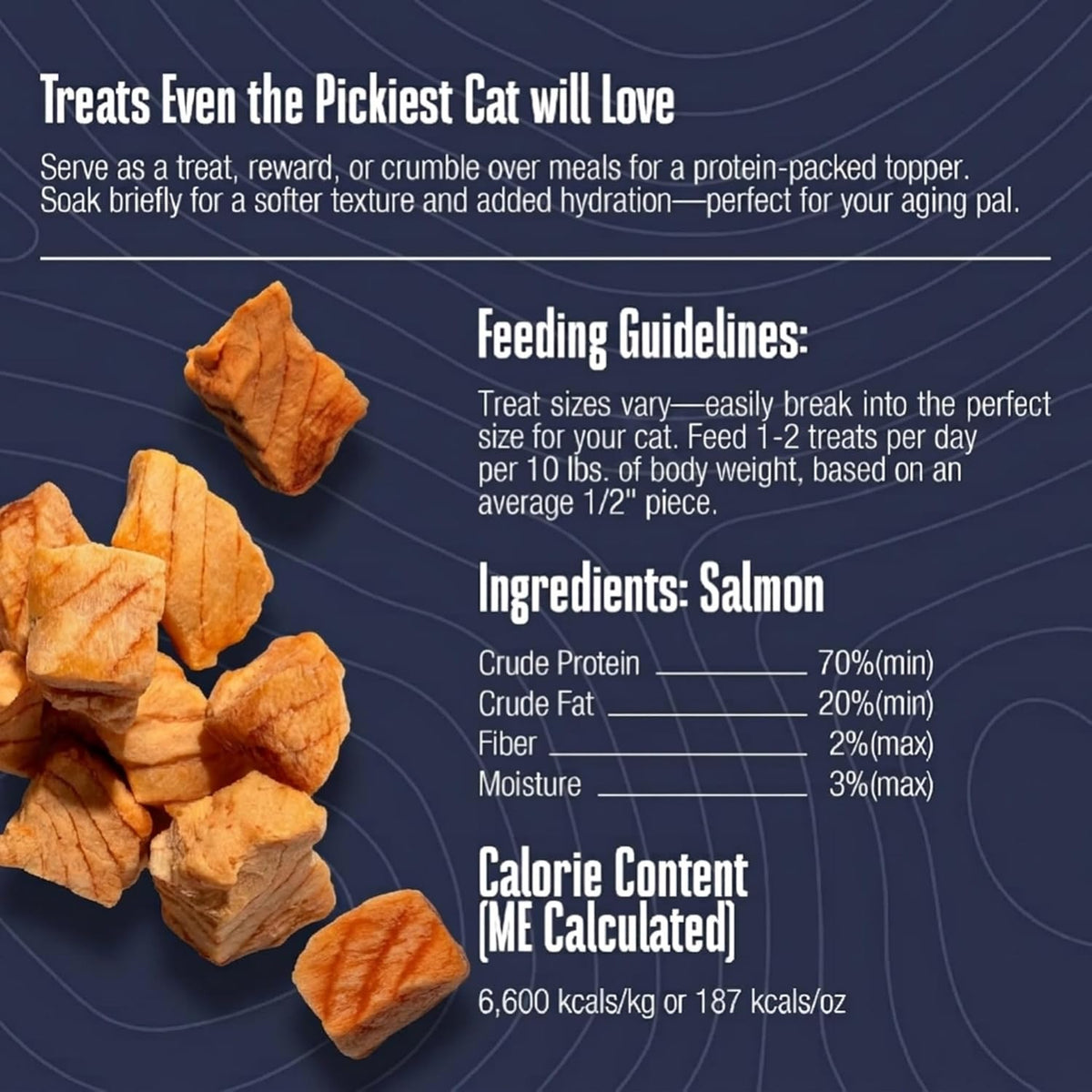 Whole Life Cat Just One Salmon Freeze Dried Cat Treats - 1 oz (Pack of 1)
