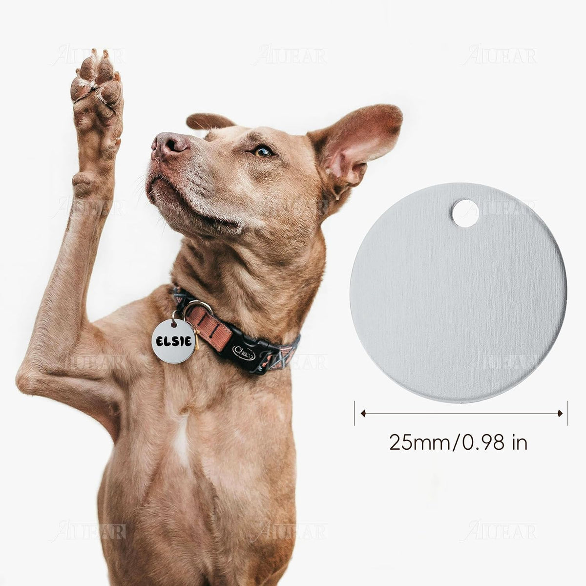 AUEAR, 20 Pack 25mm Round Shape Pet ID Tag Blank for Dog Cat Number Name Phone Charm Jewelry Making (Silver)