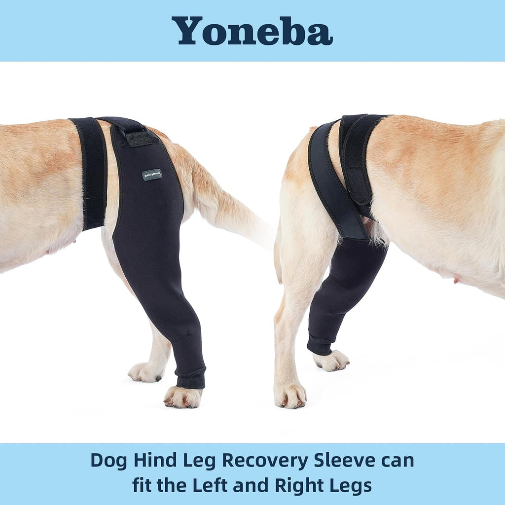 Single Dog Rear Leg Sleeve to Stop Licking, Breathable Dog Recovery Suit for Post Surgery, Comfortable Back Leg Sleeve for Wound Healing,Alternative to Cone Collars (2XLarge)