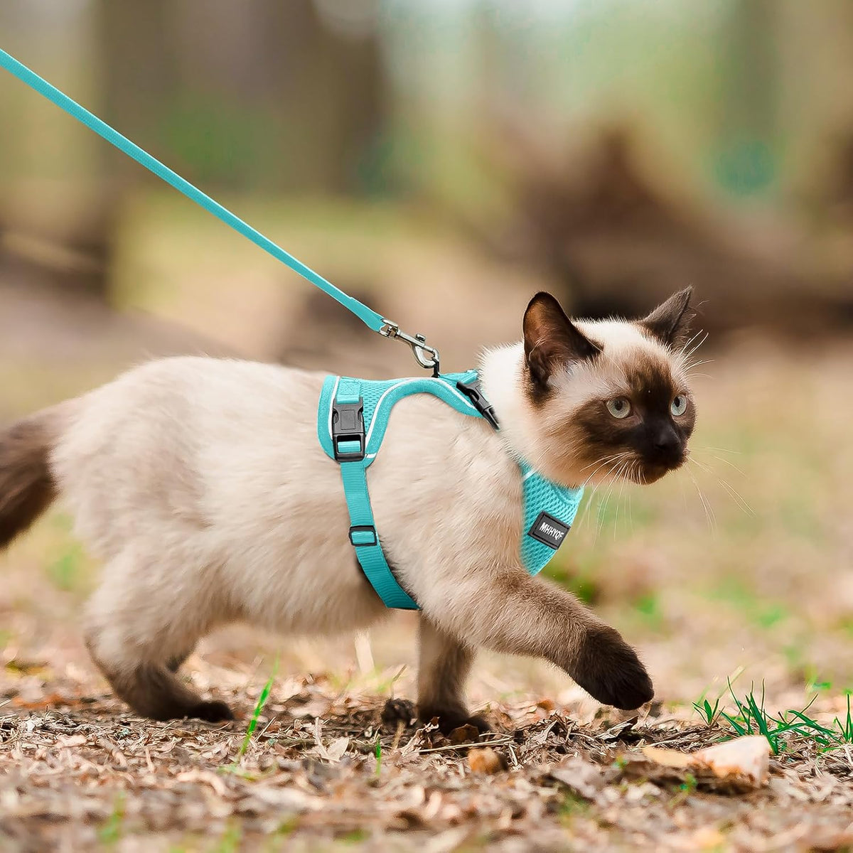 Cat Harness and Leash for Walking Escape Proof Soft Adjustable Cat Leash Breathable Comfortable Vest Easy to Wear Kitten Harness for Outdoor Travel, Green, M