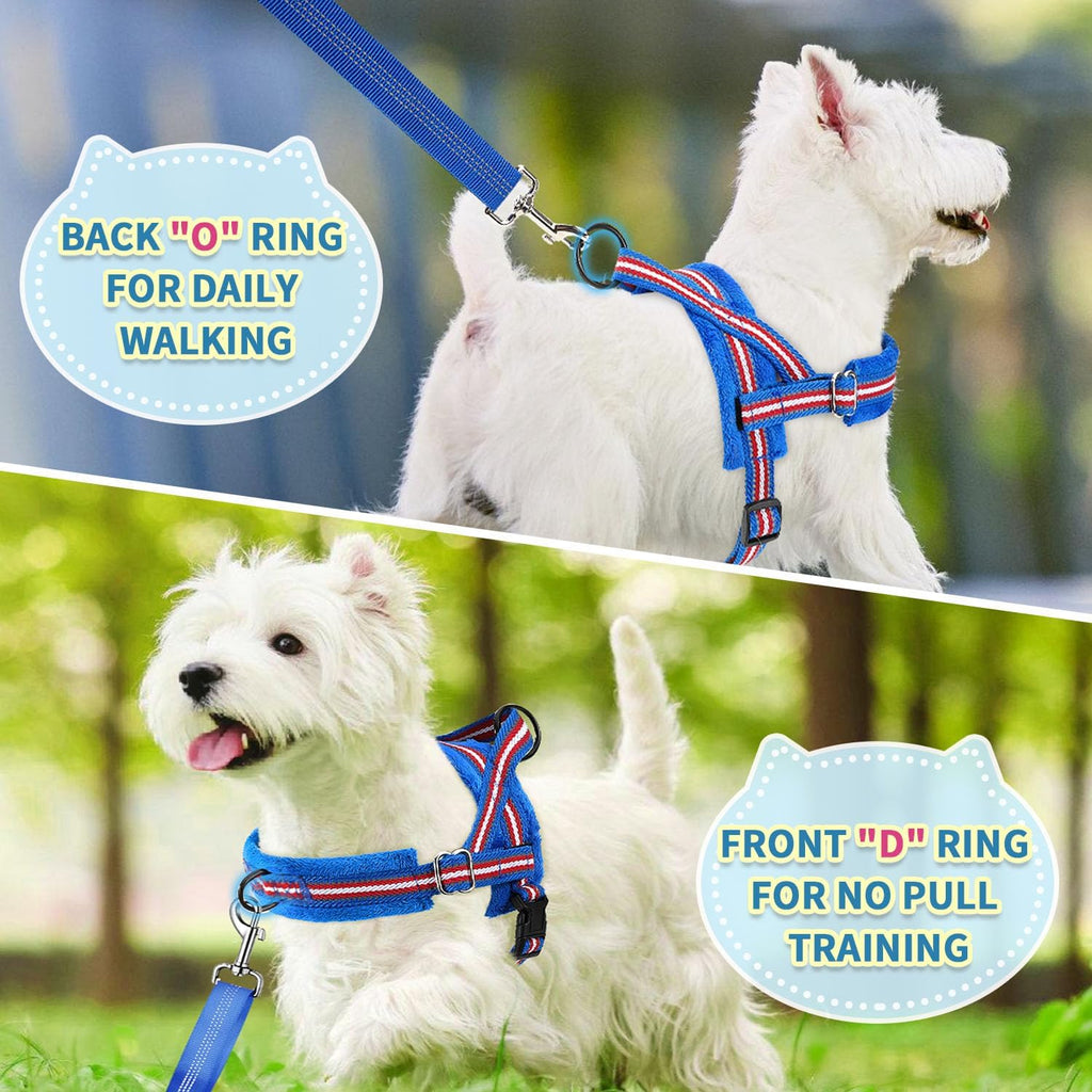 SlowTon No Pull Small Dog Harness and Leash Set with Front Clip