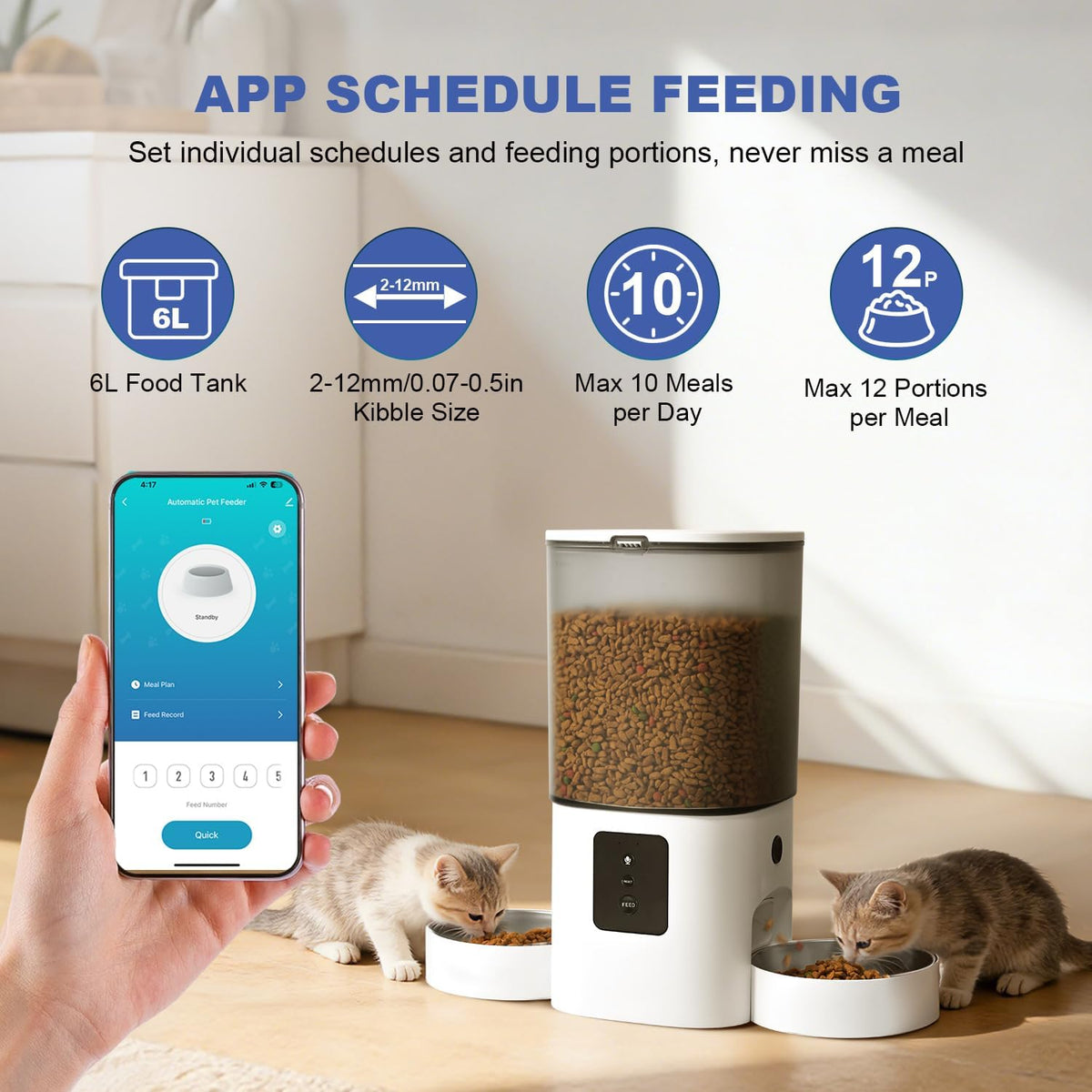 ANDOLL HOME 6L Automatic Cat Feeder, 2 Pets Timed Cat Dry Food Dispenser