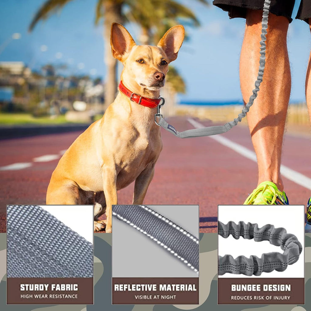 AUROTH Bungee Dog Leash for Large Dogs, No Pull for Shock Absorption