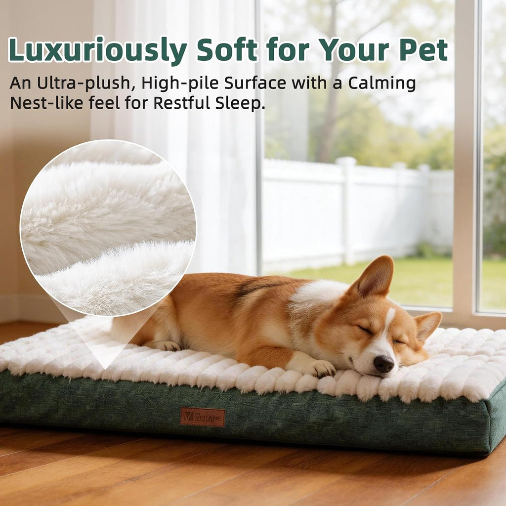 Orthopedic Dog Bed for Small Dogs,Firm Egg Crate Foam,Non-Slip Bottom,Green