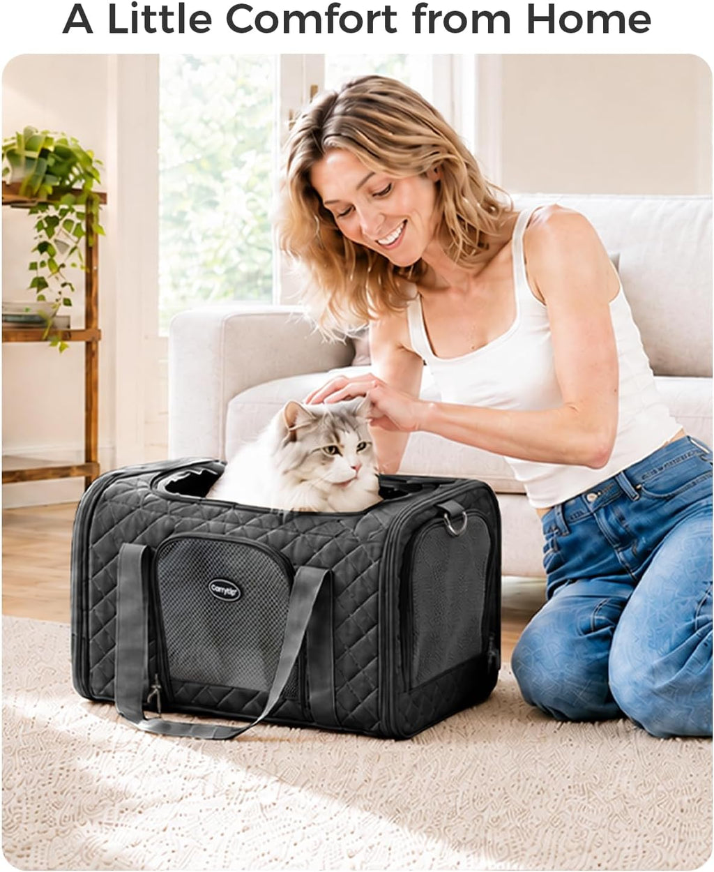 Cat Carrier Airline Approved, Soft Pet Carrier, 17x11x9.5 in, Black