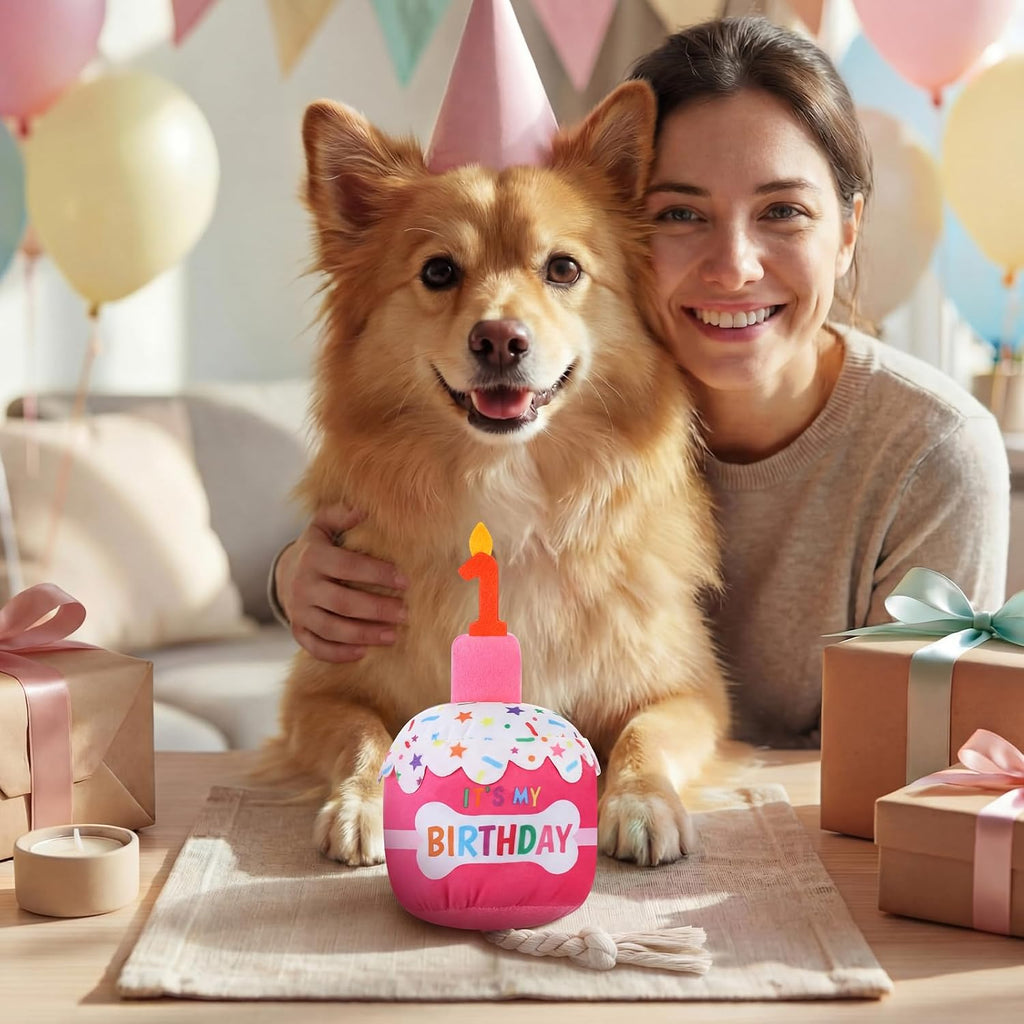 Dansydaisy Dog Birthday Cake Toy Squeaky Plush Gift,1st,Rose Pink | Interactive Squeaky Gift for Dogs, Dog Birthday Decor , Soft Chew for Small Medium Large Pets, Cake Design with Candle