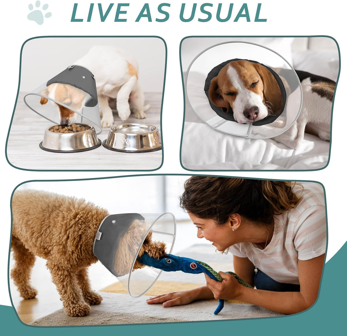 Dog Cone Collar with Snap-on Detachable Soft Liner, Lightweight Transparent Elizabethan Alternative to Stop Licking, for Spay Neuter Surgery Recovery, for Medium Large Small Dogs (Black,M)