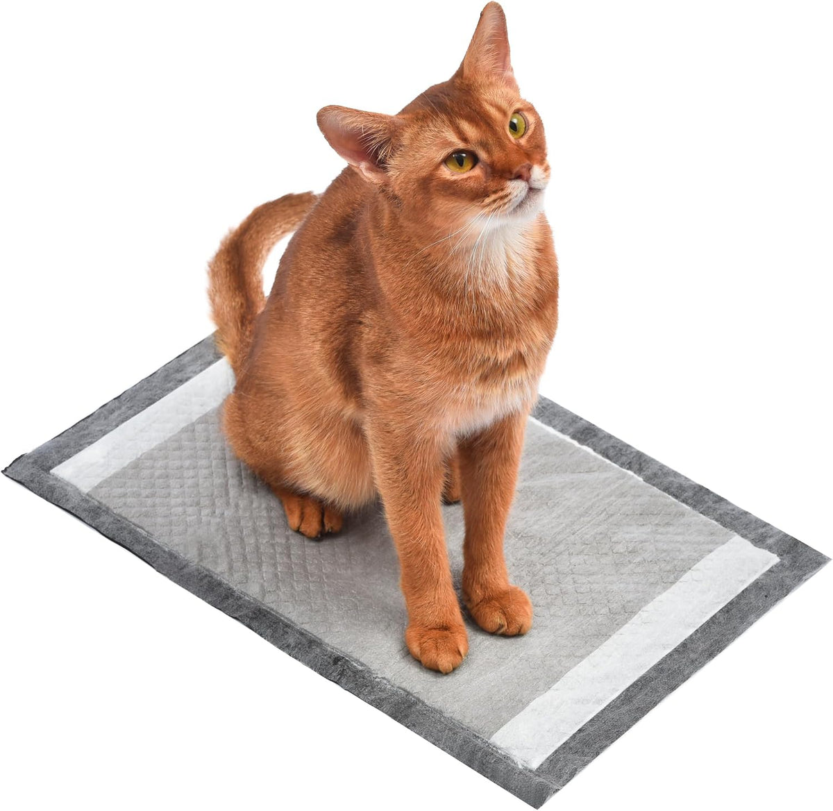Fresh Step Charcoal Cat Litter Box Pads, Activated Carbon, 7 Count