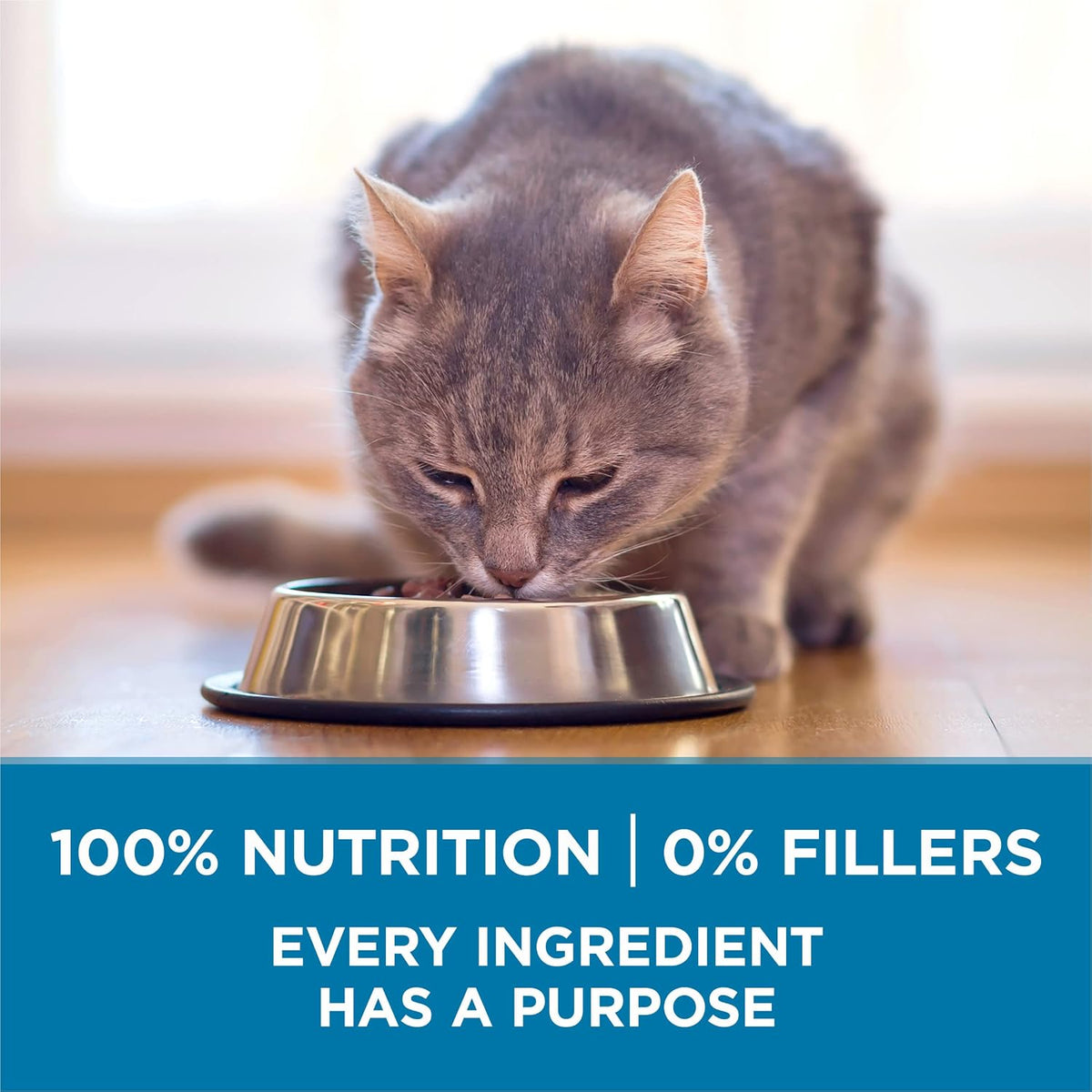 Purina ONE Indoor Advantage Senior Dry Cat Food, High Protein, 3.5 lb Bag