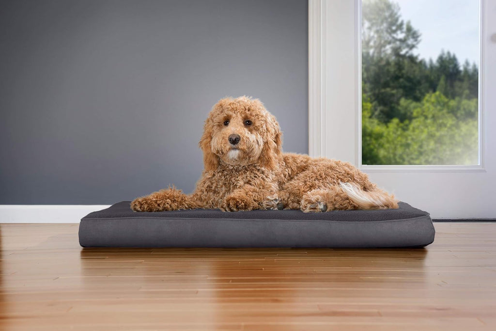 Furhaven Orthopedic Dog Bed for Large/Medium Dogs w/ Removable Washable Cover, For Dogs Up to 55 lbs - Terry & Suede Mattress - Gray, Large