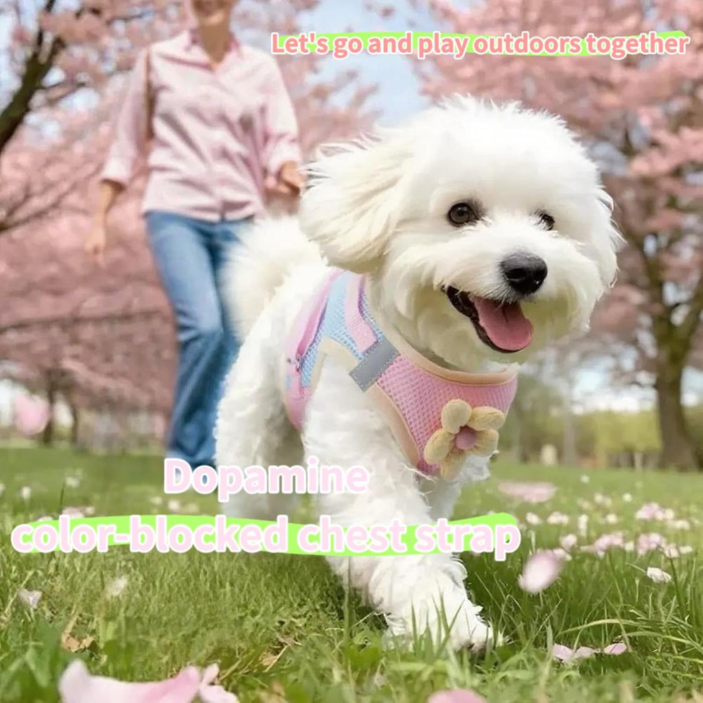 Floral Mesh Dog Harness with Matching Leash, Pink, L (16-20lbs)