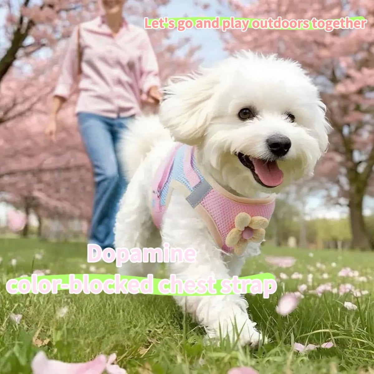 Floral Mesh Dog Harness with Matching Leash, Pink, L (16-20lbs)
