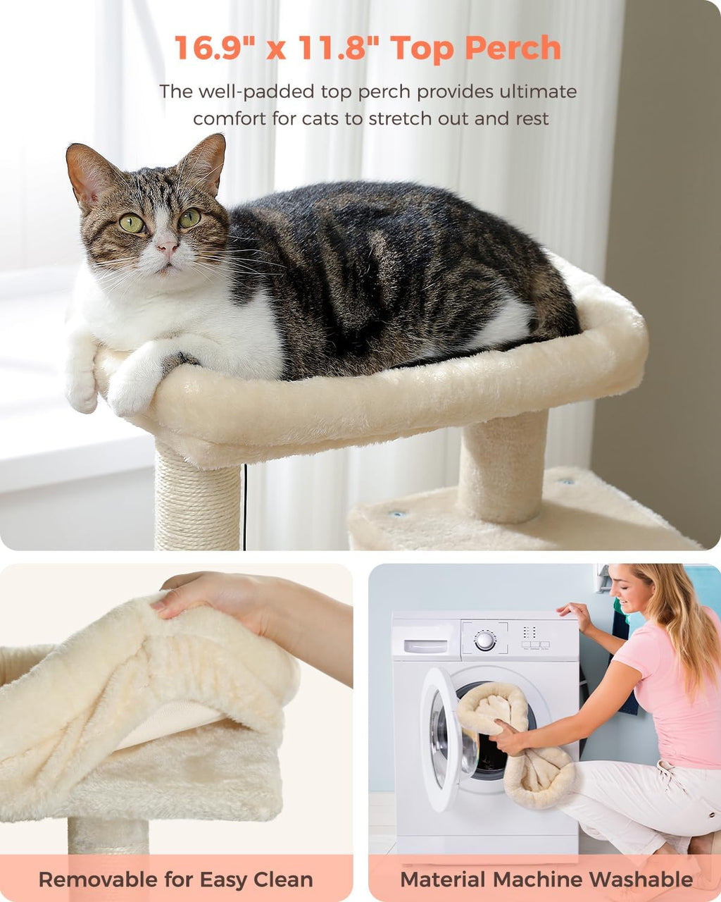 Small Cat Tree for Kittens, 32 in Cat Tower with 2 Cozy Condos