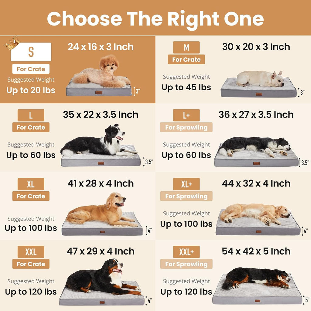 OhGeni Orthopedic Small Dog Bed, Reversible Memory Foam, 24 inch-S(Gray)