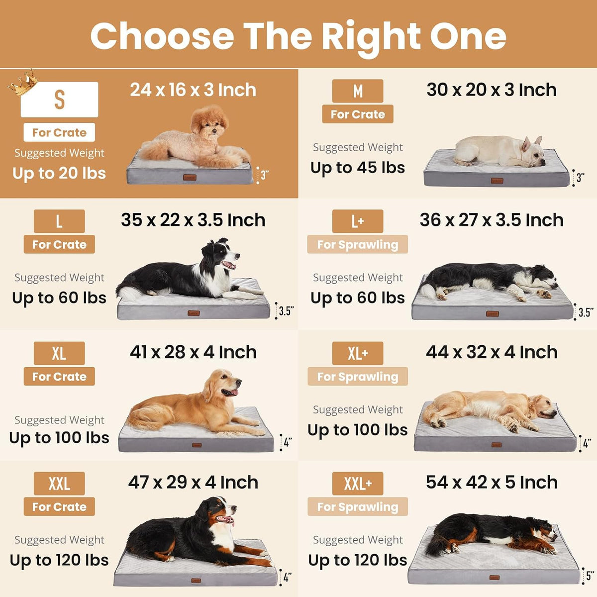 OhGeni Orthopedic Small Dog Bed, Reversible Memory Foam, 24 inch-S(Gray)