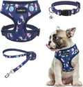 SCENEREAL Small Dog Harness and Leash Set, No Pull Puppy Harness