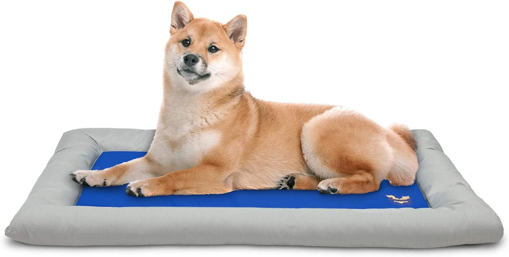 Arf Pets Dog Self Cooling Bed – Solid Gel Based Self Cooling Mat for Pets