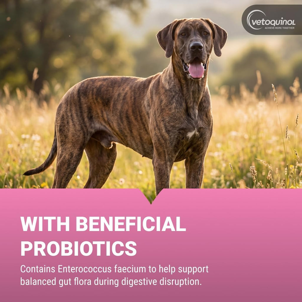 Vetoquinol Pro-Pectalin Chewable Probiotic for Pets, 60 Count