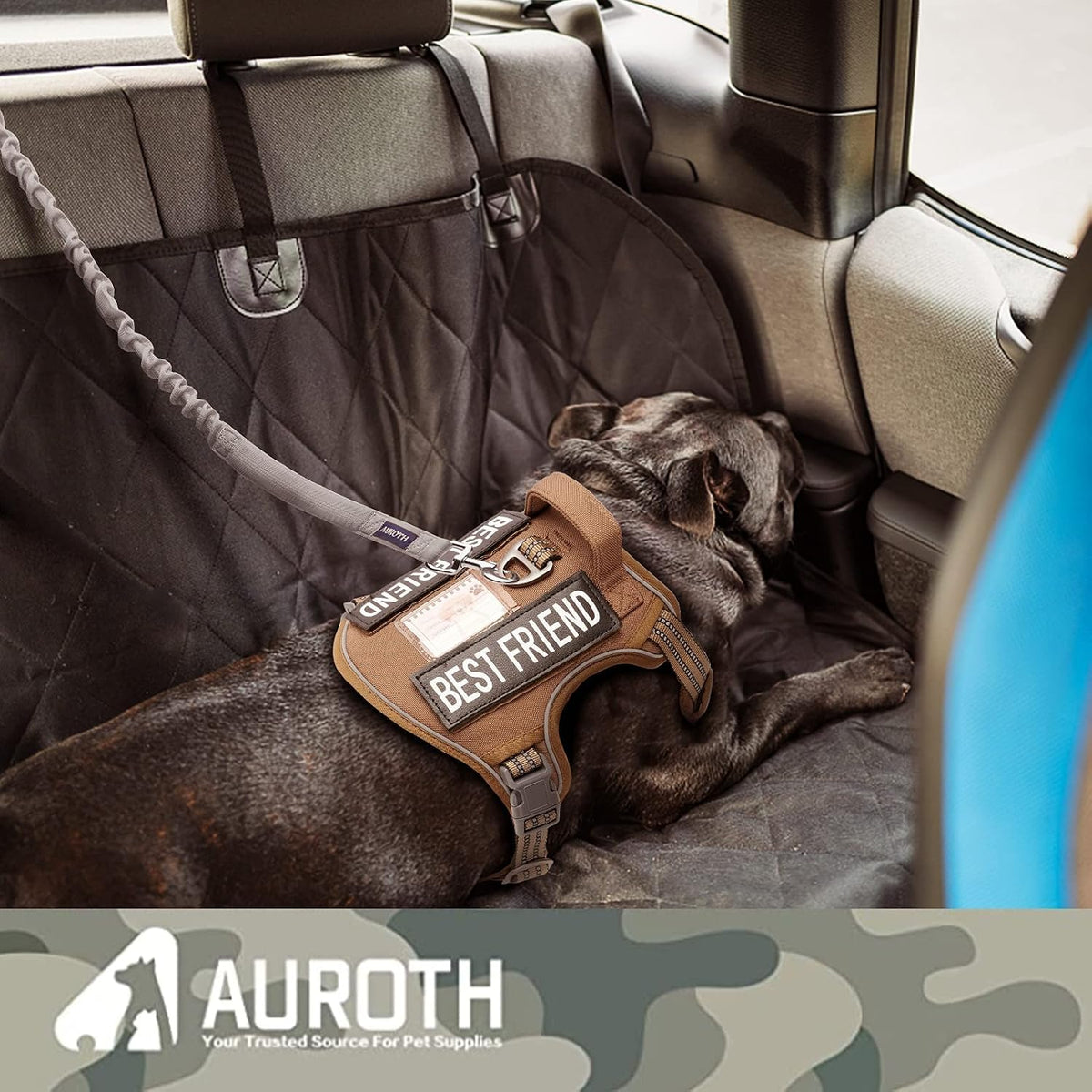 AUROTH Bungee Dog Leash for Large Dogs, No Pull for Shock Absorption