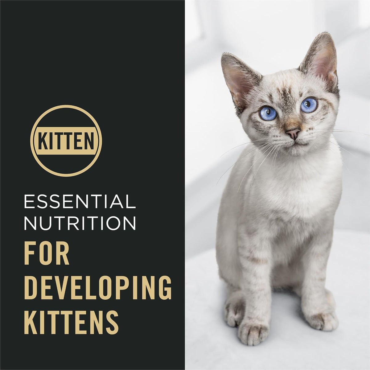 Purina Pro Plan Complete Essentials Kitten Food, Chicken & Rice, 3.5 lb Bag