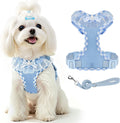 ABRRLO Cute Puppy Harness and Leash Set for Small Dogs Cats Boys,Blue,S