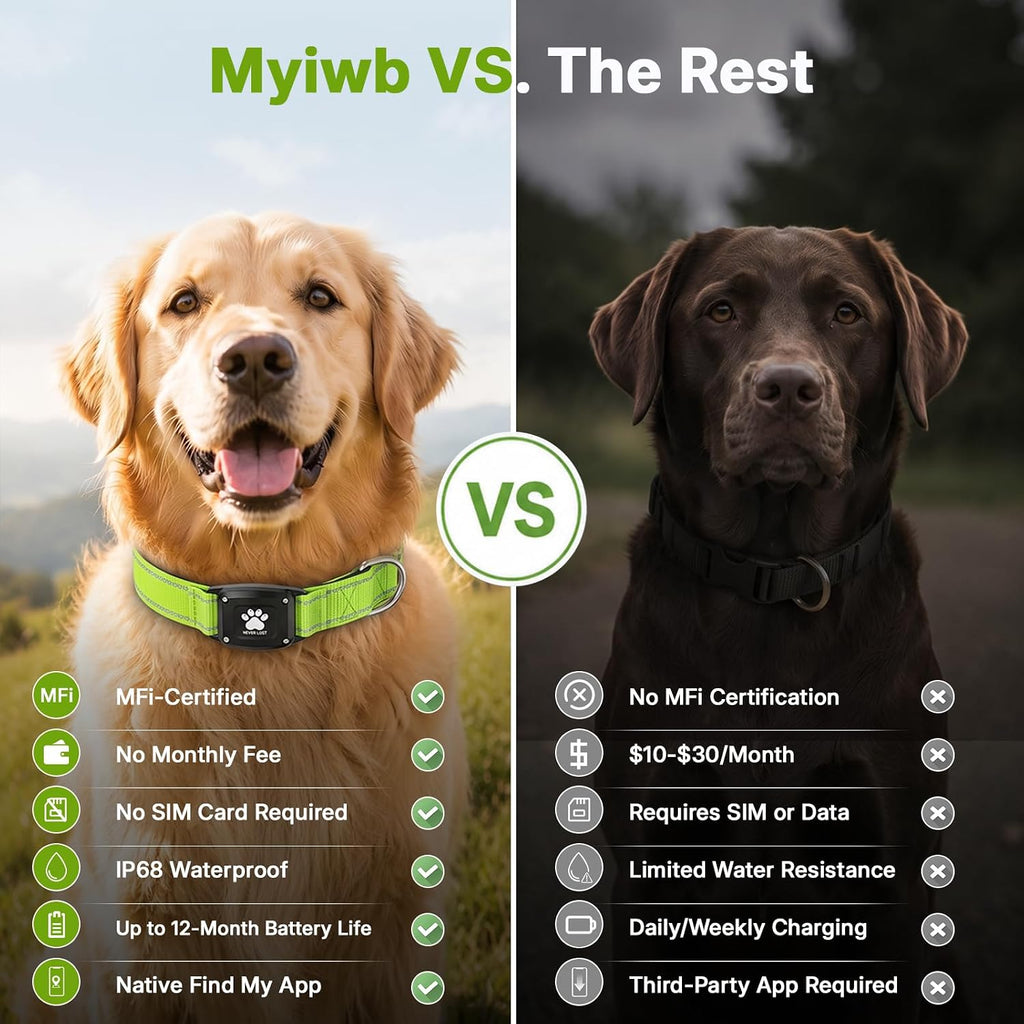 GPS Dog Collar with Tracker, Waterproof, No Monthly Fee, Green, L