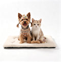 Dog Bed 22" for Metal Crate Pad, Washable Kennel Mat for Small Puppy & Cats