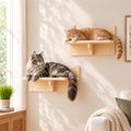 Cat Wall Shelves, 2-Piece Cat Wall Step for Large Cats