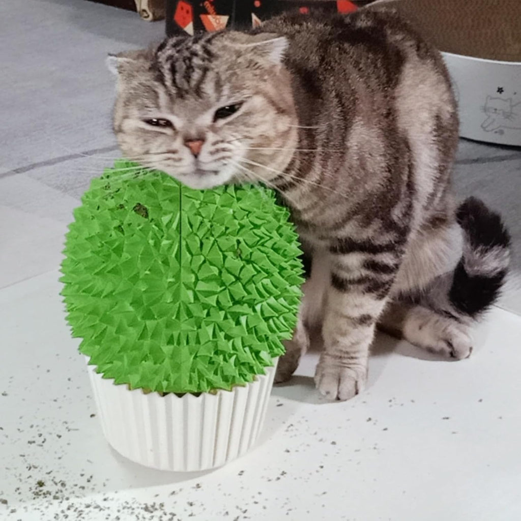 miwoowim Durian Catnip Feeder & Face Scratcher, Wall Corner Self Groomer
