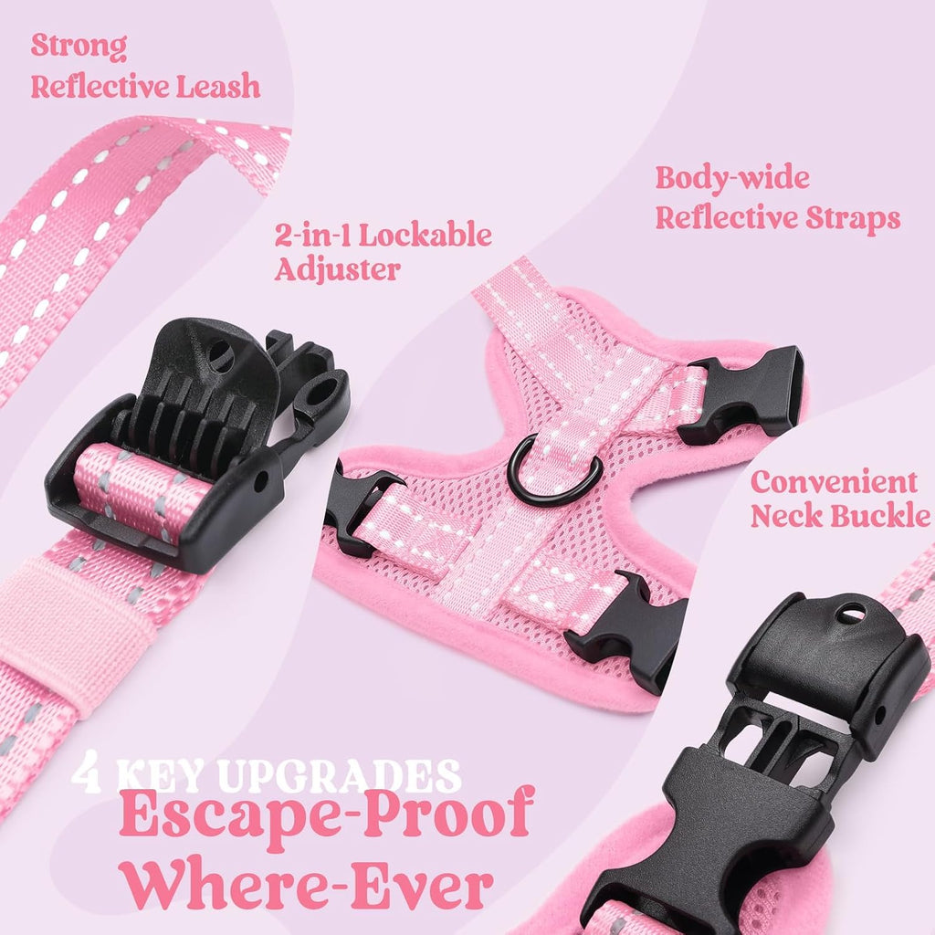 rabbitgoo Cat Harness and Leash, Easy-on with Neck Buckle, Pink