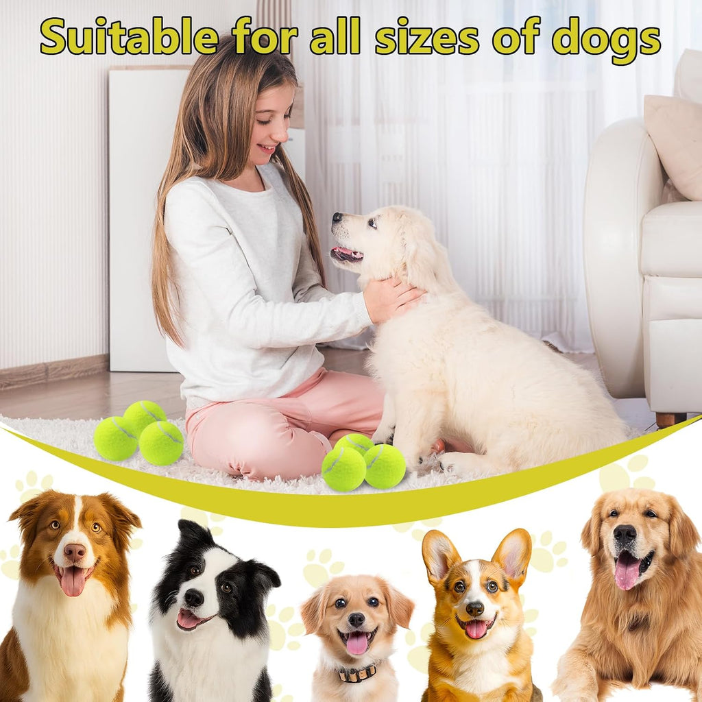 Swingers Squeaky Tennis Balls for Dog, 2.5 Inch Training Tennis Balls | Exercise Ball for Pet Dog with Mesh Carry Bag, Easy to Transport, Yellow, 6 Pack, For Interactive Play, Anxiety Relief