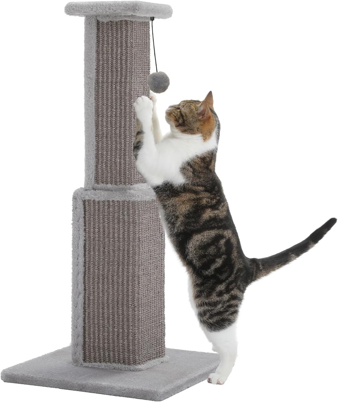 PAWZ Road Cat Scratching Post 32” Tall Square Cat Scratcher