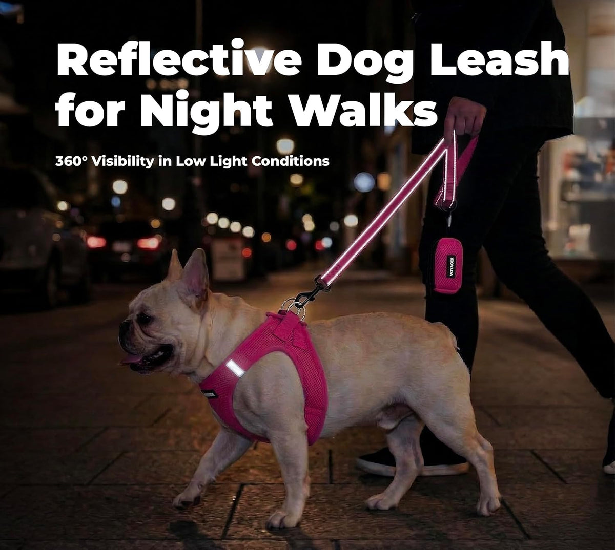 Best Pet Supplies Voyager Nylon Dog Leash - Fuchsia, Medium