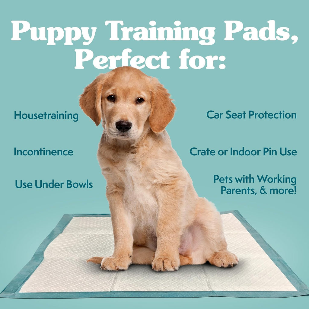 Simple Solution XL Pee Pads for Dogs, Leak Proof Dog Pads, 28x30, 100 Count | Dog Training Pads, Puppy Potty Training, Housebreaking, Disposable Pee Pads, Floor Protection, Indoor Potty, Puppy Essentials