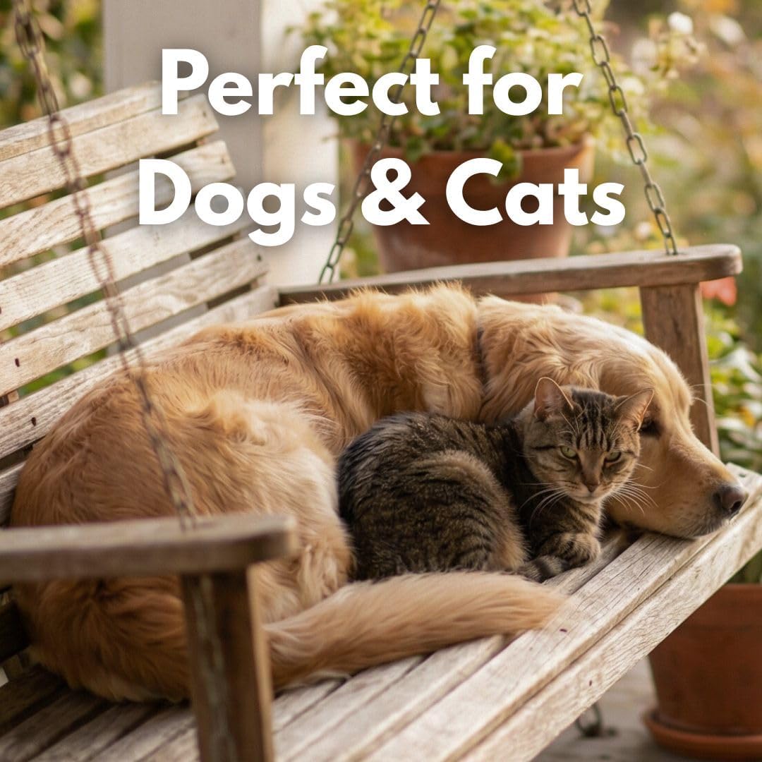 Freeze Dried Sockeye Salmon Pet Treats for Dogs and Cats, 5 Pack