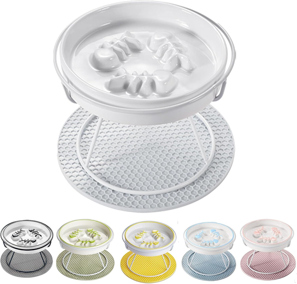 Ceramic Elevated Slow Feeder Cat Bowl, Anti Vomit, Removable Dish, White