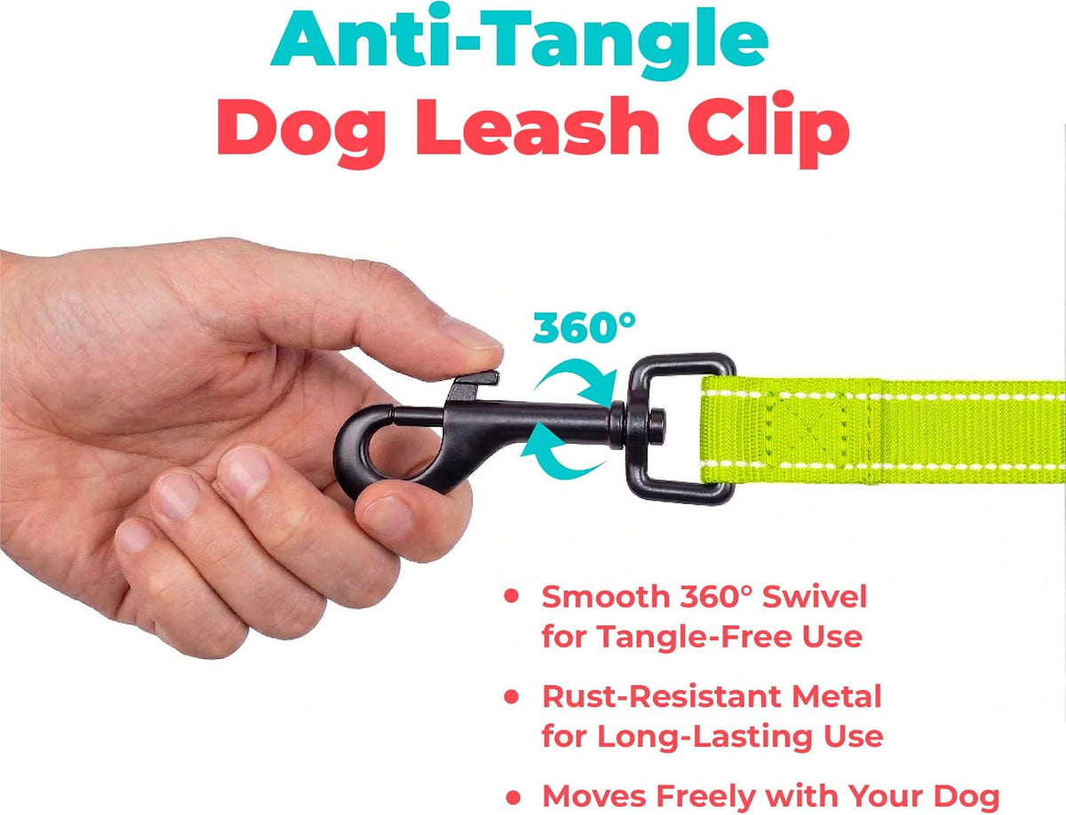 Best Pet Supplies Voyager Nylon Dog Leash - Lime Green, Medium