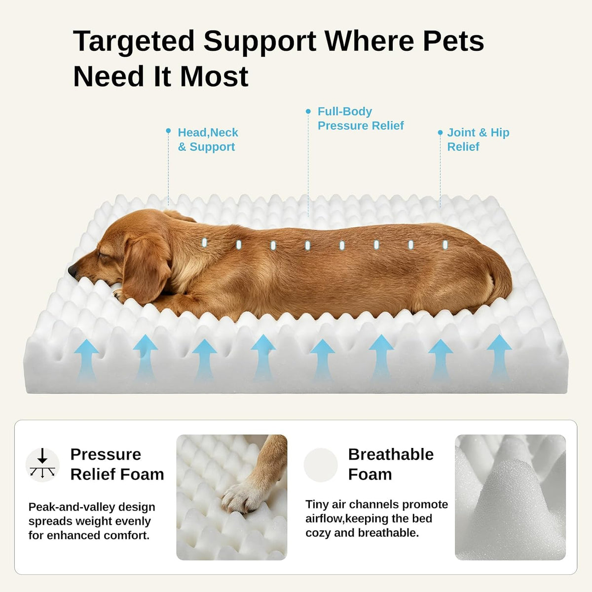 Orthopedic Dog Bed for Small Dogs, Egg Crate Foam, Non-Slip Bottom,Beige