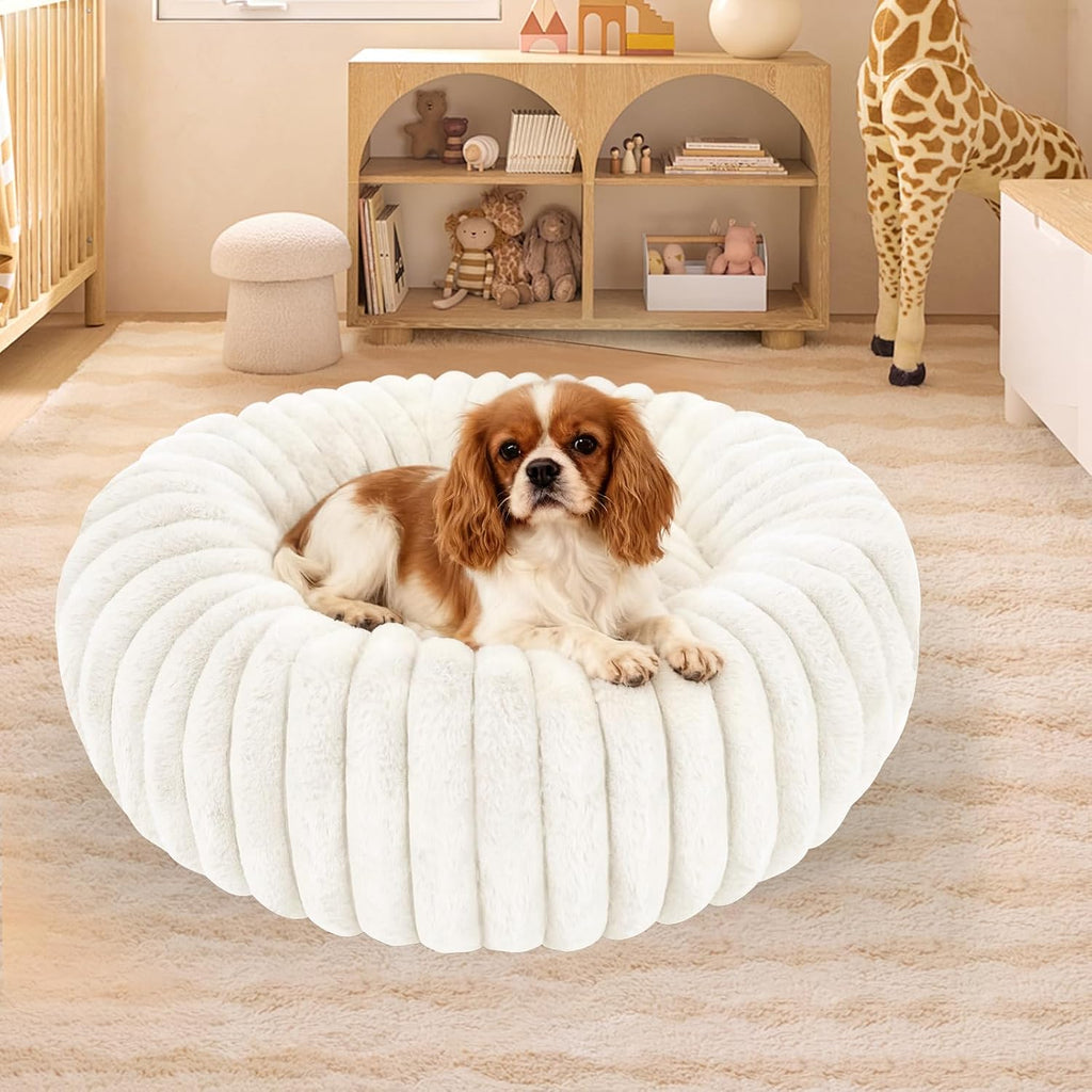 Washable Extra Large Dog Bed,Puppy Kitten Beds for Small Dogs(White,XXL)