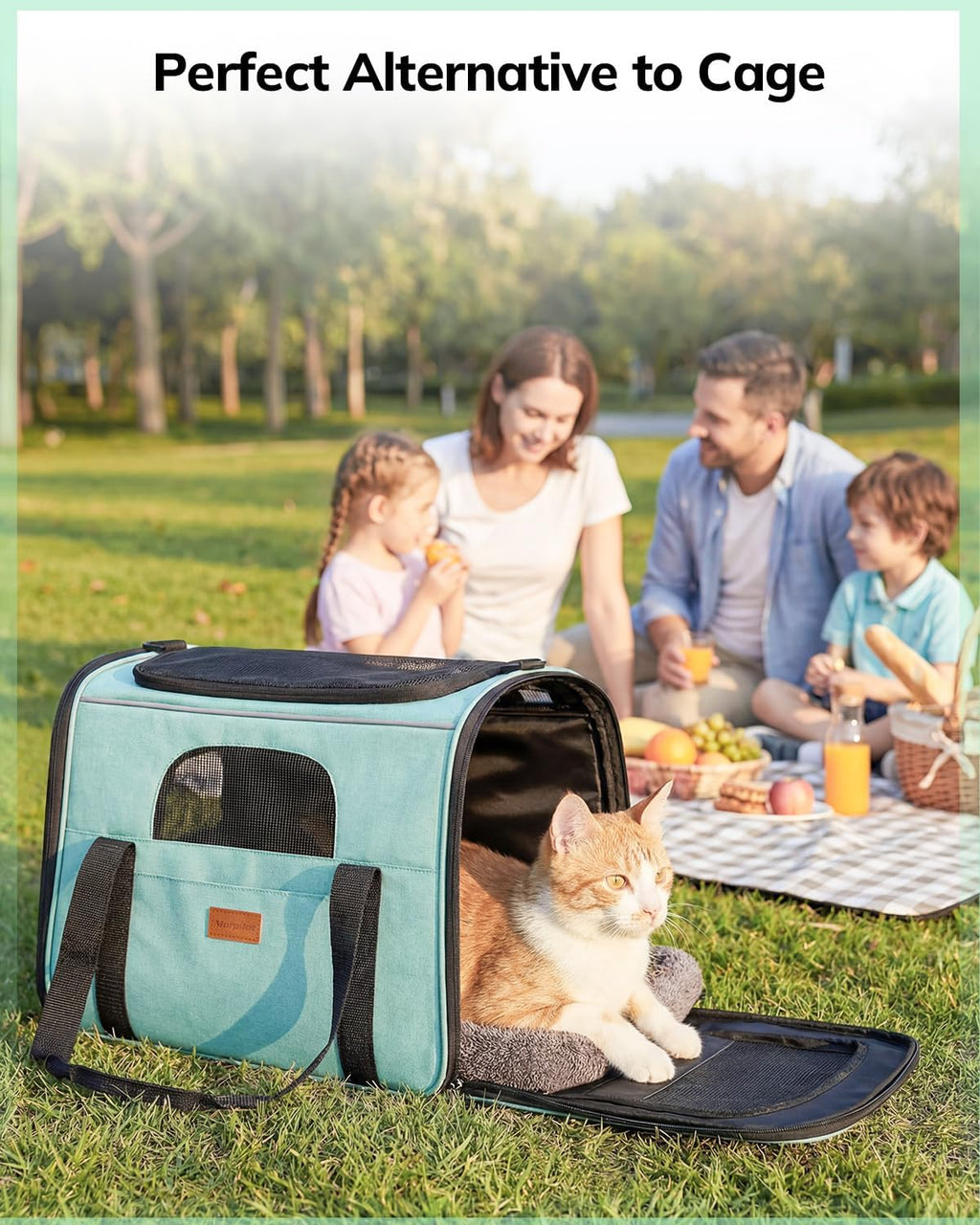 Morpilot Pet Carrier for Large Cats, Puppies & Small Dogs Up to 20lbs