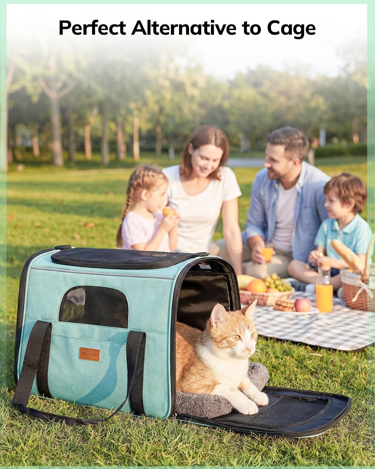 Morpilot Pet Carrier for Large Cats, Puppies & Small Dogs Up to 20lbs