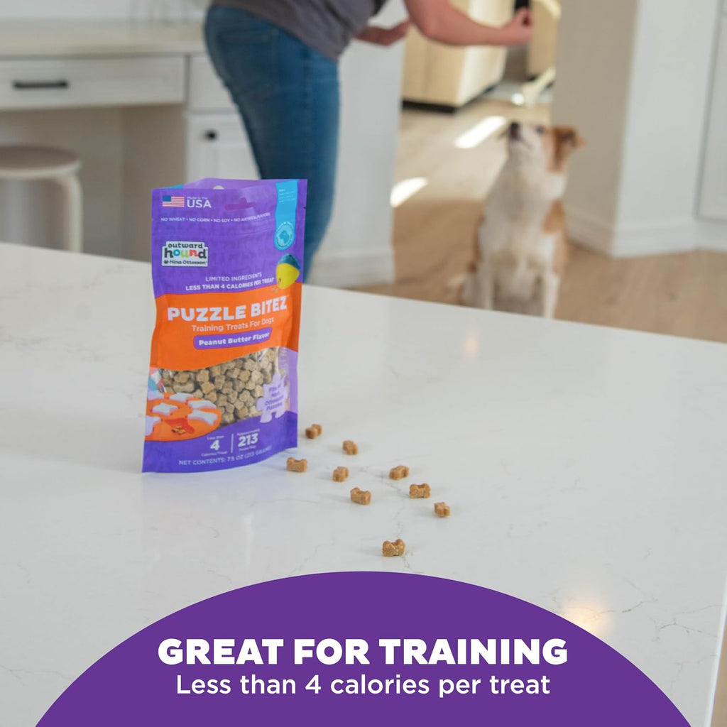 Outward Hound Nina Ottosson Puzzle Bitez Dog Treats, Peanut Butter, 7.5 oz