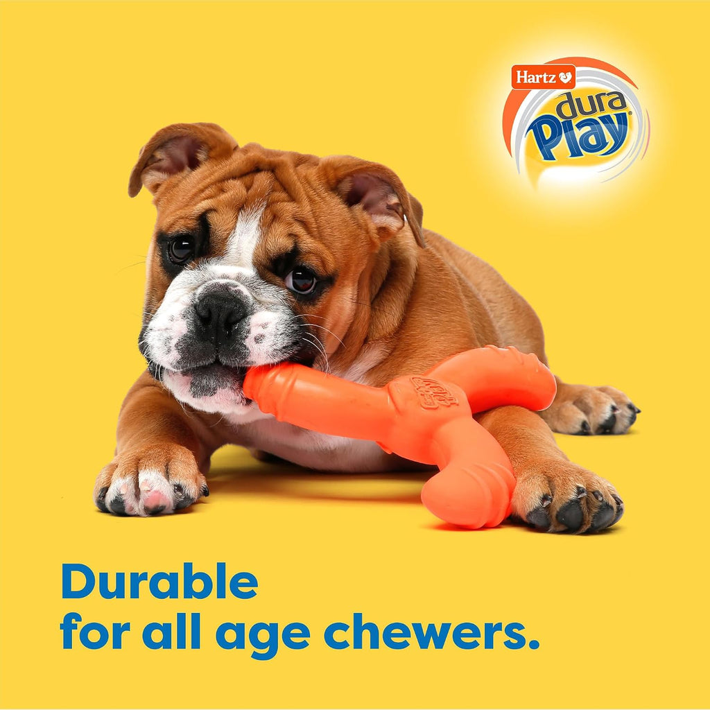 Hartz DuraPlay Bacon Scented Dog Toys, Medium/Large ( Colors may vary ) All Breed Sizes