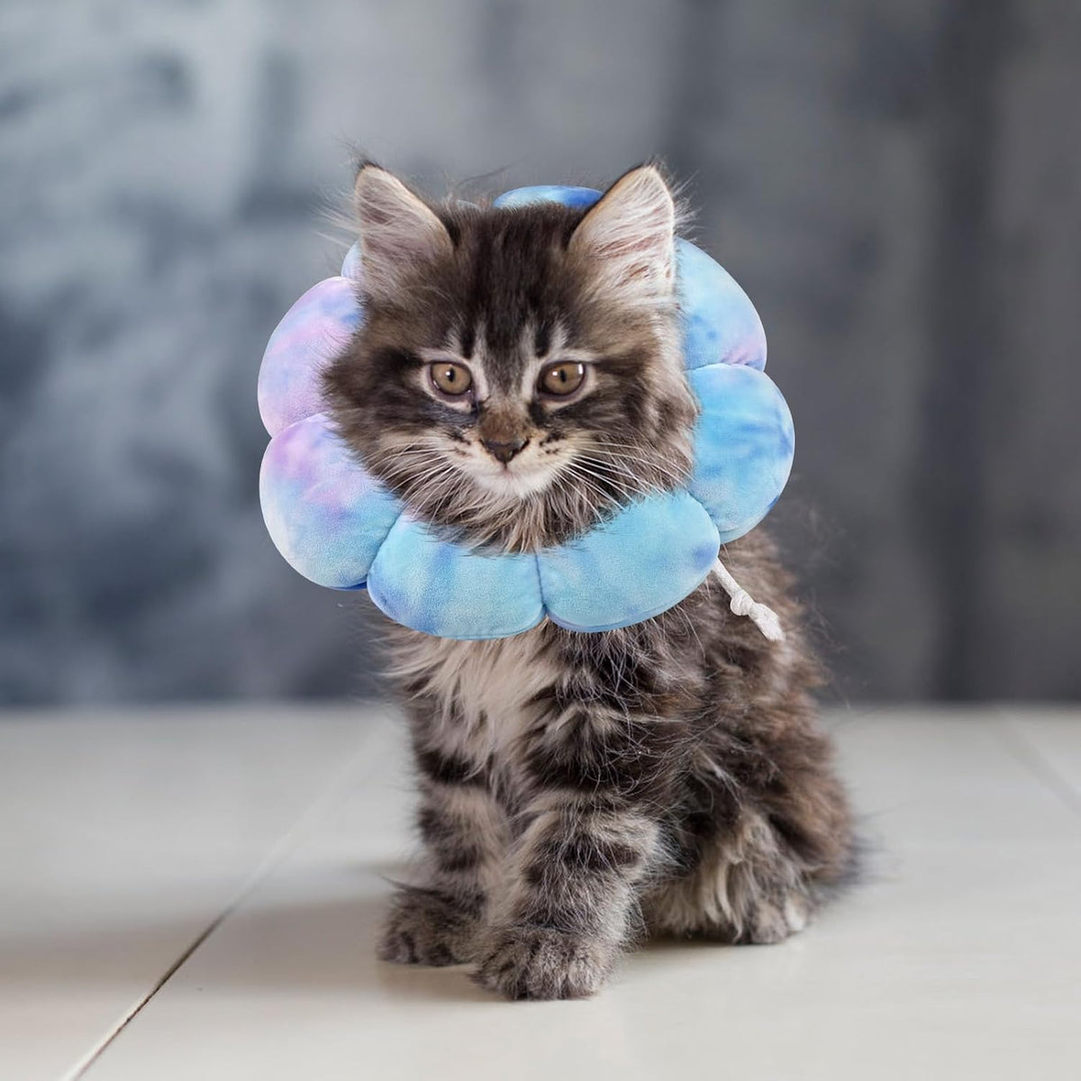 Adjustable Dog Cone Collar, Soft Dog Elizabethan Collar Recovery E Collar After Surgery, Recovery E-Collar for Kittens/Puppies and Cats Recovery