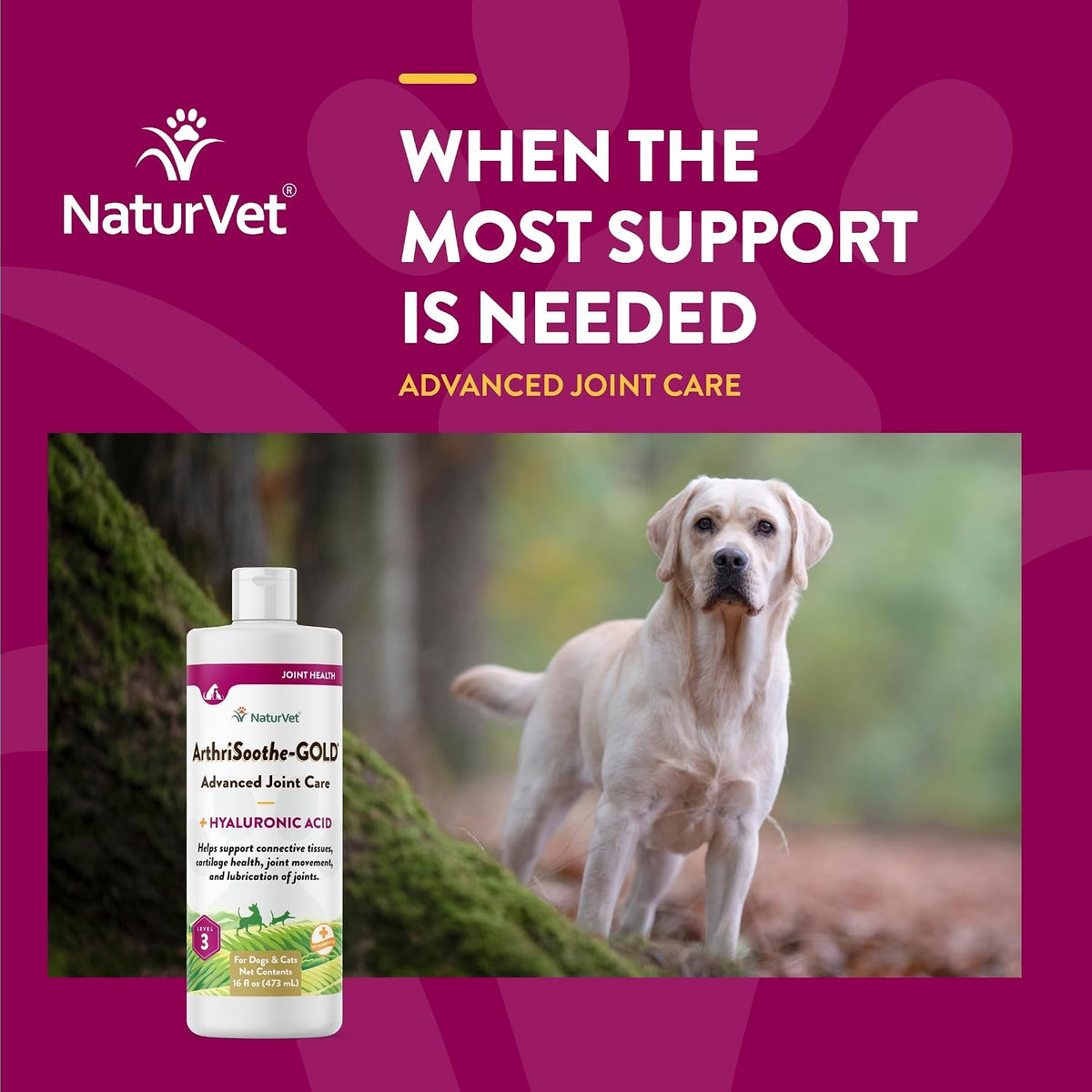 NaturVet – ArthriSoothe-Gold Advanced Care Liquid - 16 oz