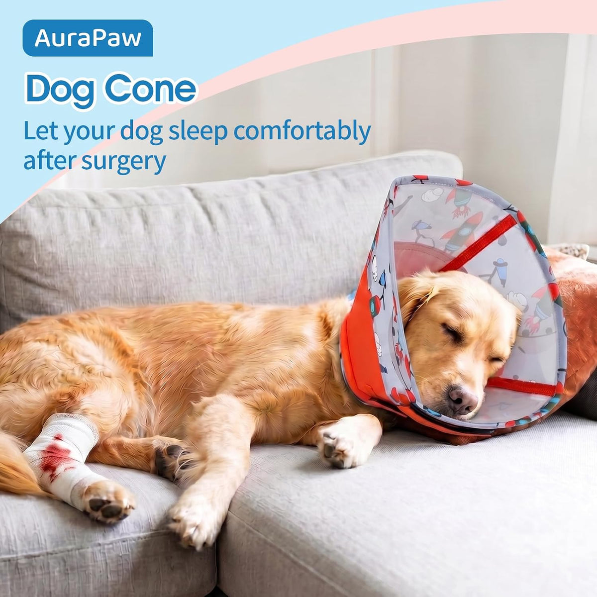 Dog Elizabethan Collar for Dogs with Durable Material